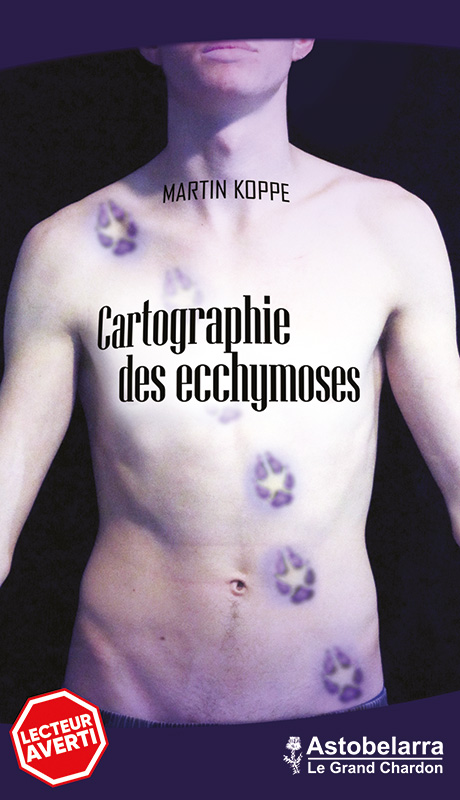 Cartographie des ecchymoses, roman de Martin Koppe, Astobelarra 2020